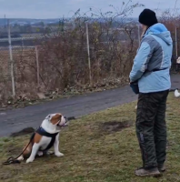 /album/foto8/screenshot-2023-12-16-at-17-02-15-facebook-png/